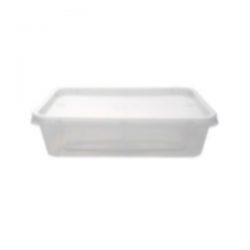 Plastic Rectangular Containers & Lid